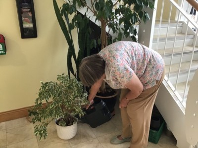 Image 34 from Eco Church | Dorchester Baptist Church