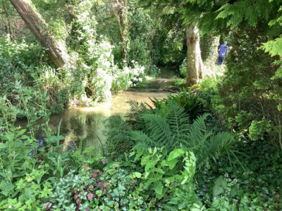 Image 7 from Eco Church | Dorchester Baptist Church