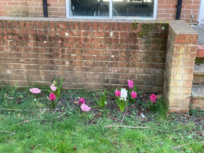 Image 19 from Eco Church | Dorchester Baptist Church