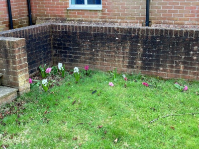 Image 18 from Eco Church | Dorchester Baptist Church